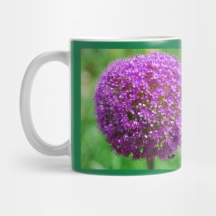 Allium Giganteum Mug